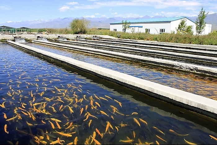 579f174af0693.jpg 48012_20120831111033059359_1.jpg