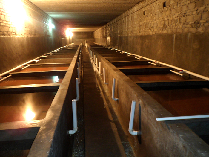 579f175353d26.jpg aaa.jpg