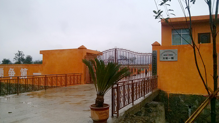 579f175e12cf4.jpg IMG_20121210_094118.jpg