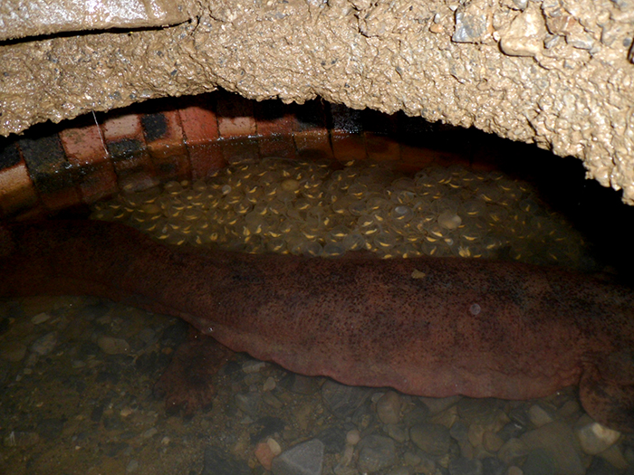 579f1763d8871.jpg SAM_0020.jpg