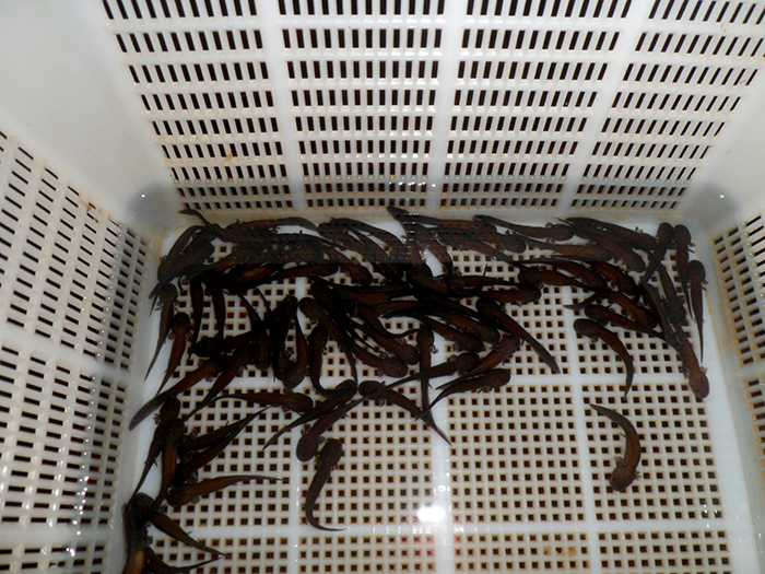 579f177e4c631.jpg SAM_0135.jpg