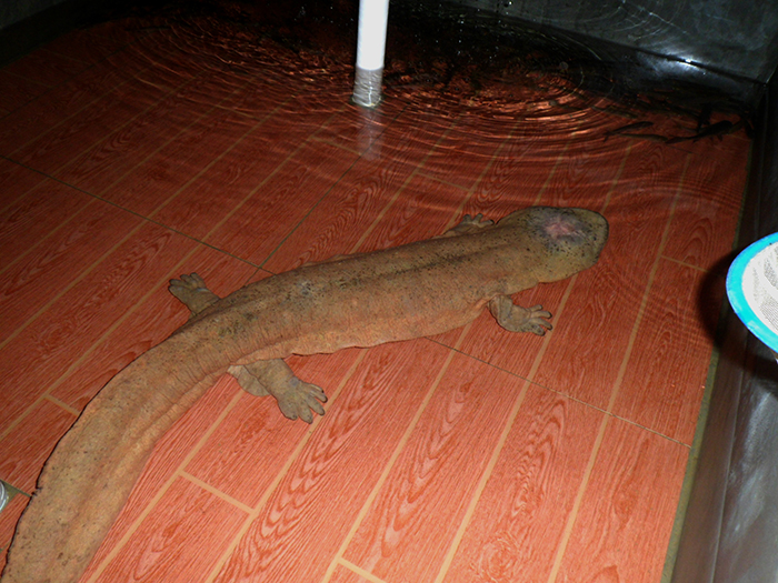 579f17819c3b7.jpg SAM_0137.jpg